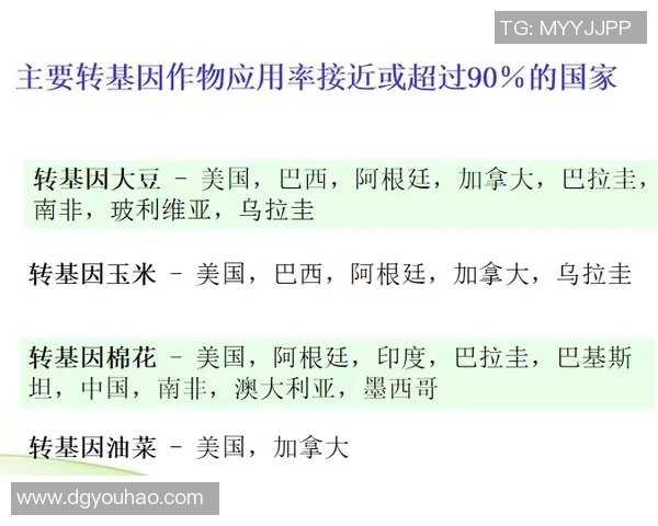 巴西与墨西哥亚洲盘分析及投注建议全面解读