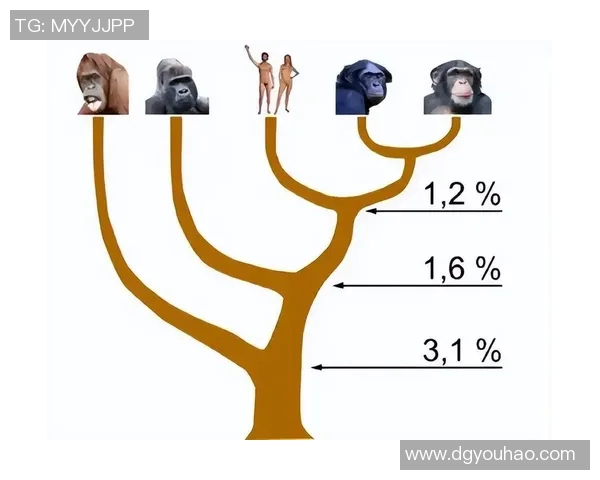 巴西猿人与松恩视频的精彩对决揭示人类进化的奥秘与争议