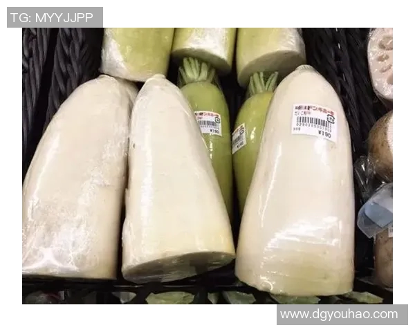 日本与澳大利亚生活方式大比拼：文化习俗饮食特色与日常生活的差异分析