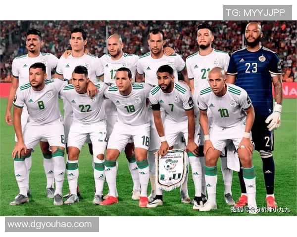 阿尔及利亚与尼日利亚精彩对决全场录像回放及精彩瞬间解析